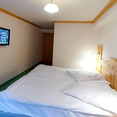 Alpejska - Basen, Jacuzzi E-rowery W Cenie Przy Min 2 Nocach Panzió
