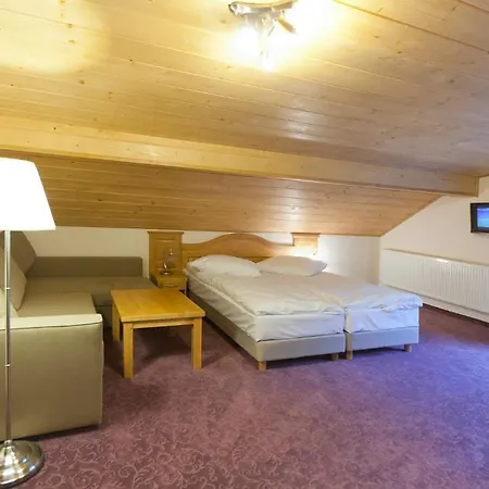 Panzió Alpejska - Basen, Jacuzzi E-rowery W Cenie Przy Min 2 Nocach 3*