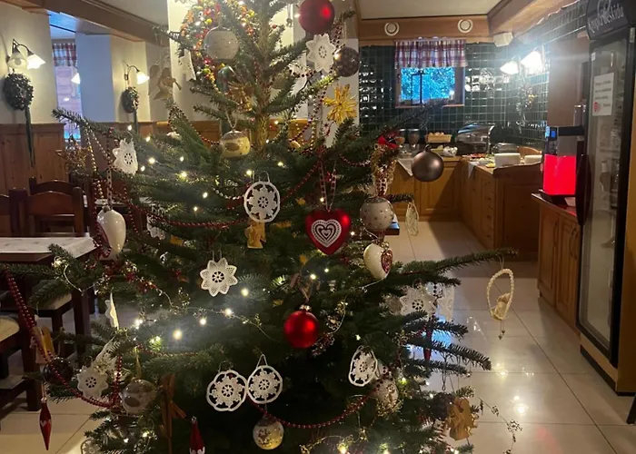 Bed & Breakfast Alpejska Wisla